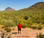 Get a seasonal view of the climate in Tucson AZ. Average temps, rainfall & more. Learn what to expect from our weather patterns before you visit or relocate.