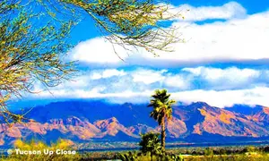 Deciding between Tucson AZ vs Phoenix AZ? Compare costs, climate, nightlife, outdoor fun, family perks, and jobs, to pick the Arizona city that fits you.