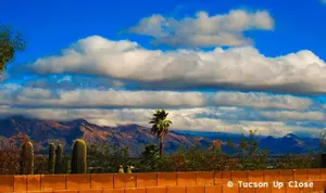 Best of the Tucson Arizona tourist attractions. These are tops things to do. We'll guide you to natural wonders & lots more. Something for everyone!