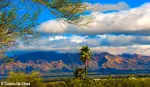 Authentic & unique lodgings, Discover the best places to stay in Tucson. From luxury resorts to budget-friendly hotels, perfect for your Southwest USA getaway.