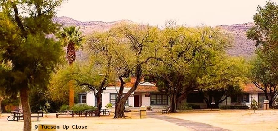 A building with a palm tree adjacent in a park setting.