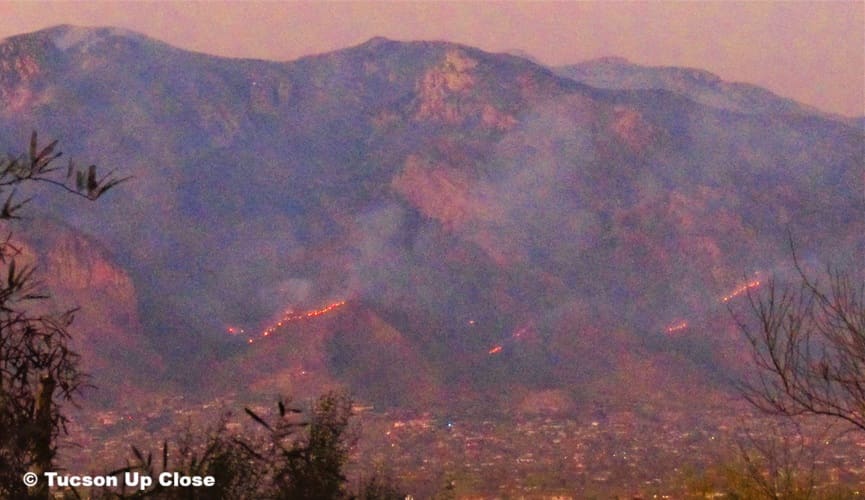 Bighorn fire in the Santa Catalina Mountains