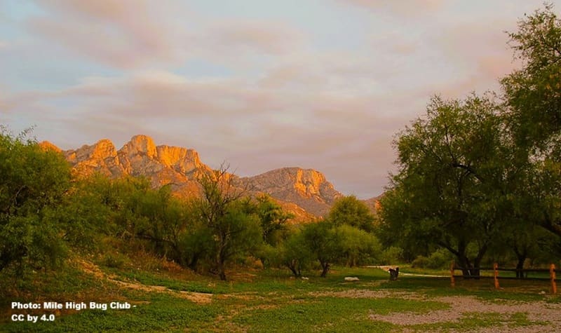 towering desert mountain cliffs fronted by the Sonoran Desert
