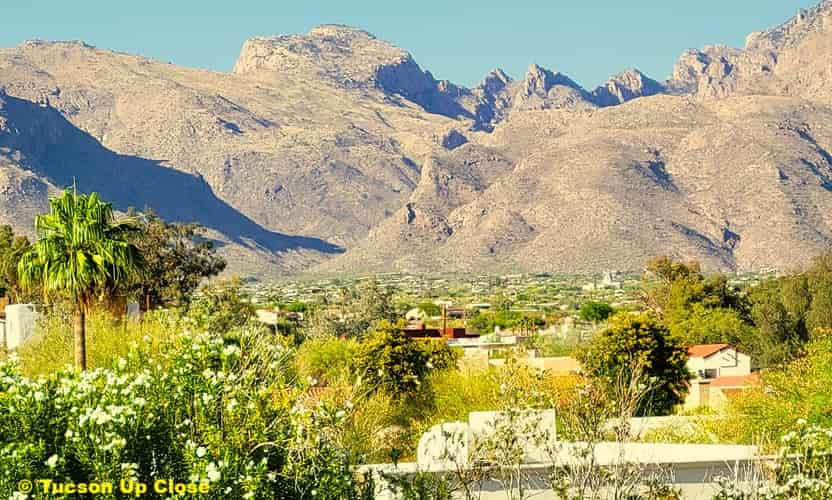 Foothills neighborhoods beneath the south frontage of the Cataline Mountains in Tucson