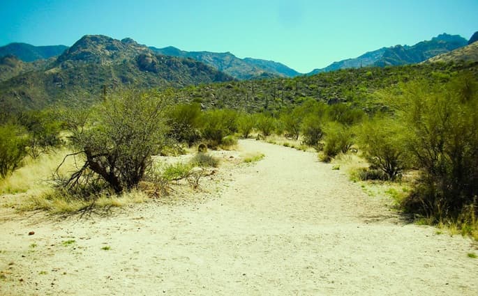 trail inside Catalina State Park in Tucson AZ
