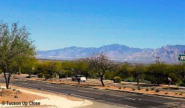 view of the Santa Catalina Mountains in Tucson