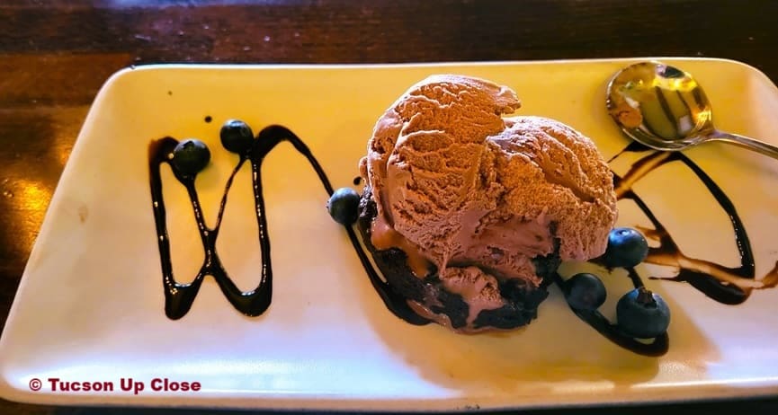 chocolate ice cream covering a chocolate cake on a plate