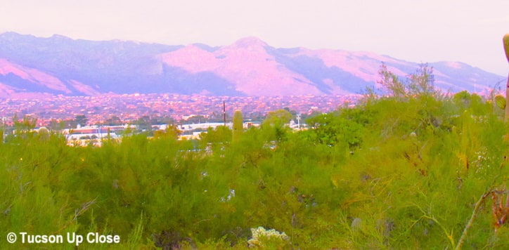 Viewpoint into the Tucson Valley from the Tucson Mountain Foothills