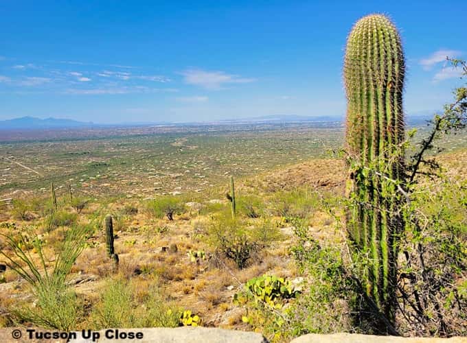 Overlook stop for the city of Tucson