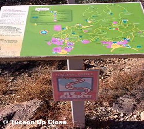 Watch where you walk sign warning, because you could encounter snakes.