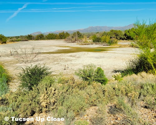 El Rio Park in Marana Arizona with an intermittent river
