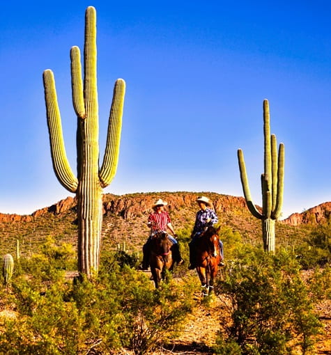 Two people riding on horseback through a desert trail