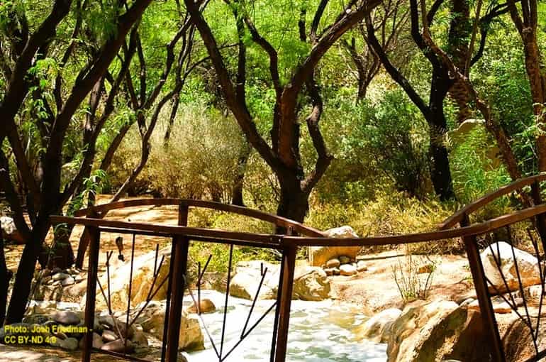 Grounds of local resort spa in Tucson area has a beautiful bubbling creek amidst the trees