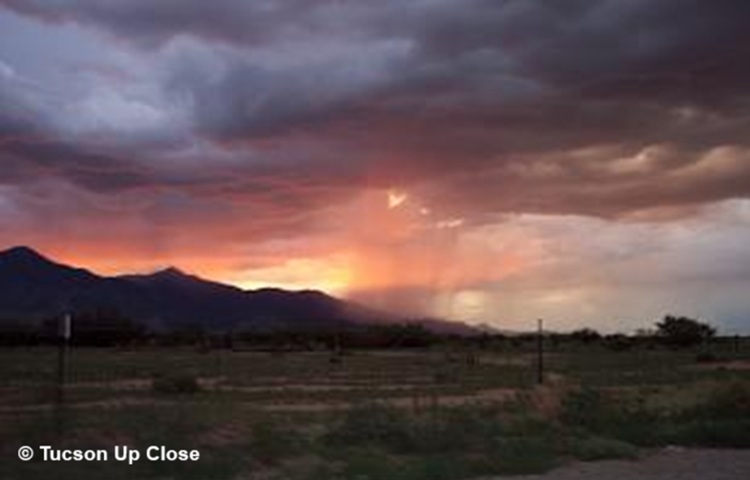 sunset glowing through a rain shower with dark clouds above and mountains in the background sunset glowing through a rain shower with dark clouds above and mountains in the background