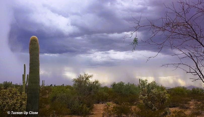 Monsoon storm with visible steams of rain coming onto the desert.