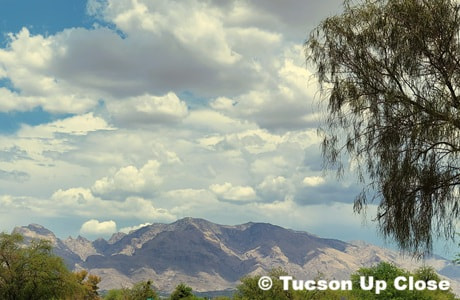 panaoramic viewpoint of the Santa Catalina Mountains, including Mount Lemmon