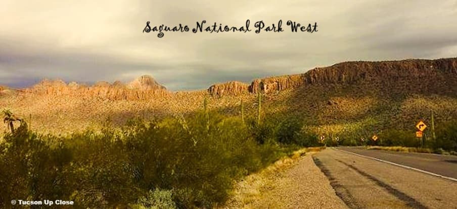 desert with mountains as a backdrop