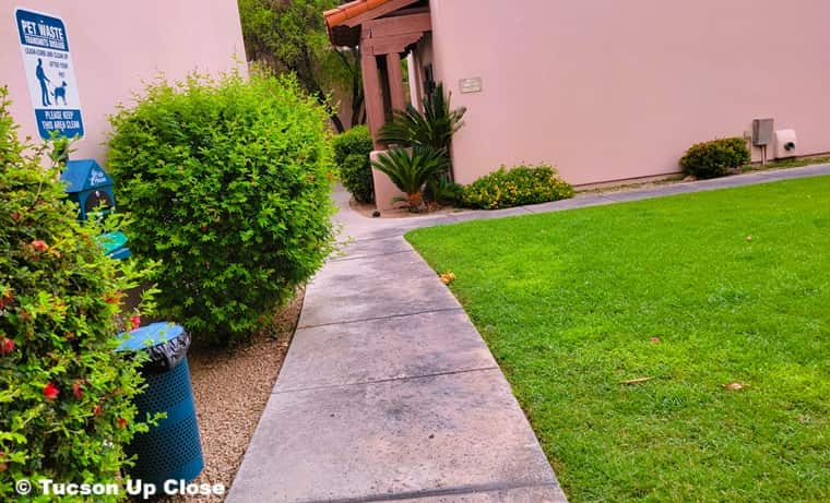 Pet comfort area at Lodge on the Desert Tucson