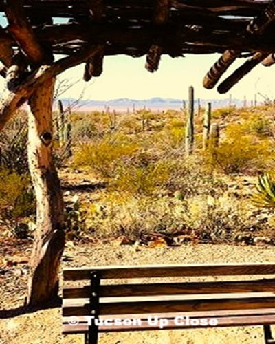 a wooden bench under a traditional ramada with a view of the desert near Tucson Arizona
