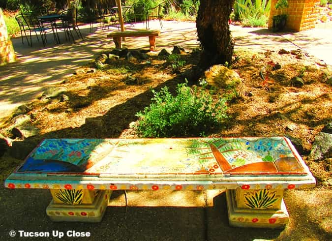 bench and tables for lunch in a botanical garden xeriscape area