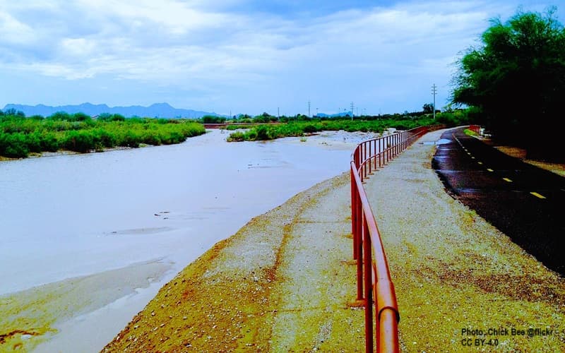 Riverside at Rillito River Park Tucson