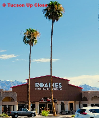 Entry to an entertainment facility fronted by two palm trees and view of mountains in the background