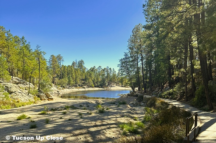 Walkway near heading to a mountain lake in the Santa Catalinas