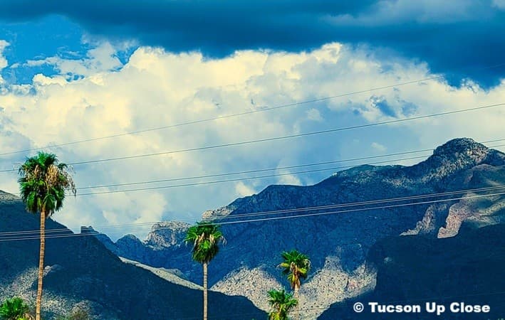 the Santa Catalina mountains rise up above the northwest side of town