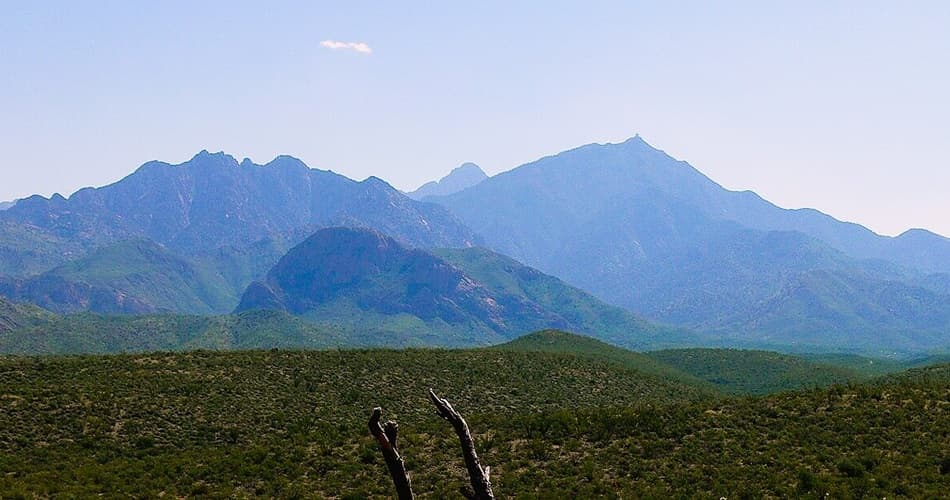 distant view of the Santa Rita Mountains south of Tucson