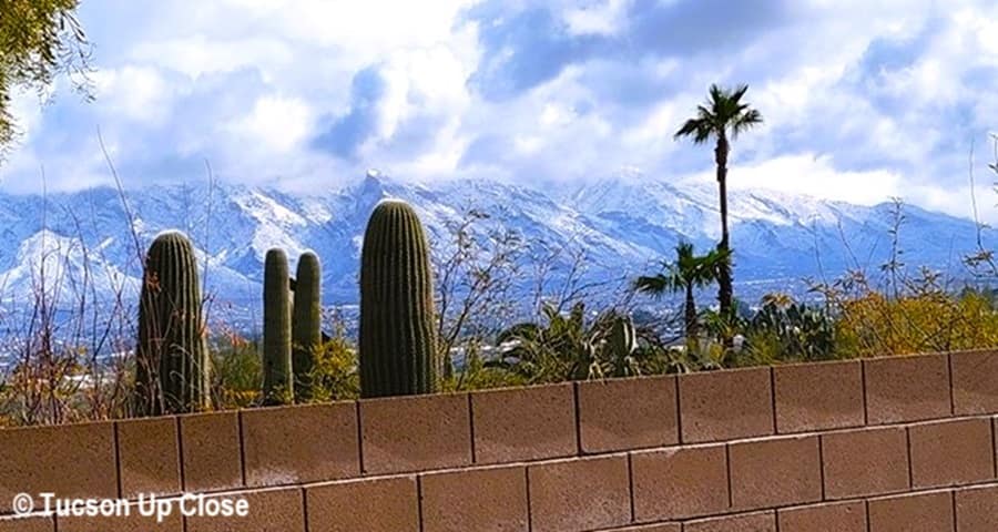 View of Catalina Mountains in Tucson topped with snow