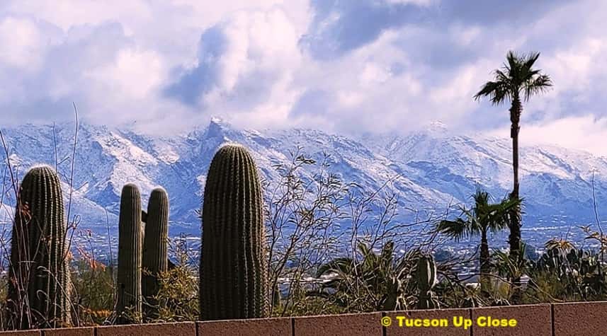 Tuscon's Catalina Mountains covered in snow.