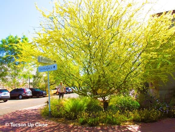 roadway with parking and signs pointing the way to an entrance