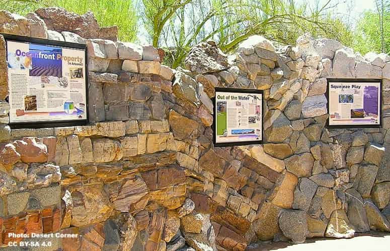 display wall in a desert garden