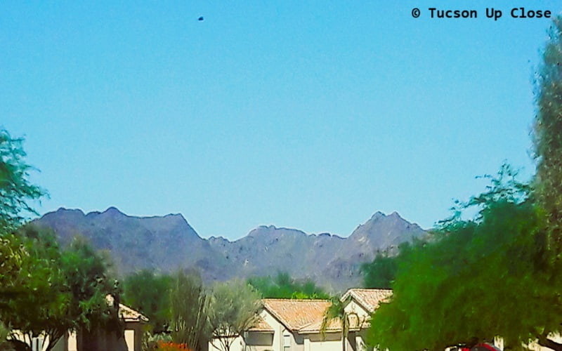 A view up a neighborhood street with mountains in the background.