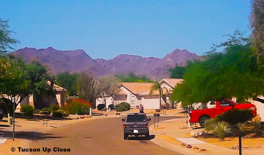 roadway in the foothills of the Tucson Mountains