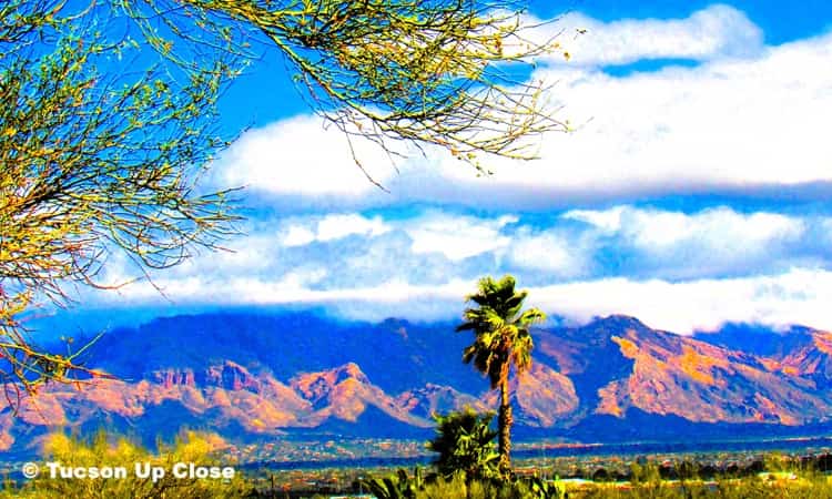 view of Tucson from foothills of the Tucson Mountains