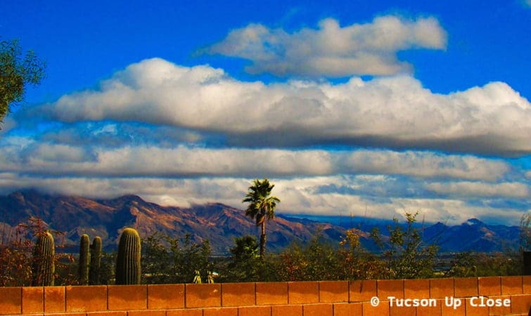 View of Tucson from a hillside, with saguaro cactus and a palm, plus the mountains in the background with some scattered clouds in the sky.