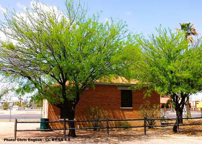 Entry area with building by a rail fence to the Tucson Wagon museum