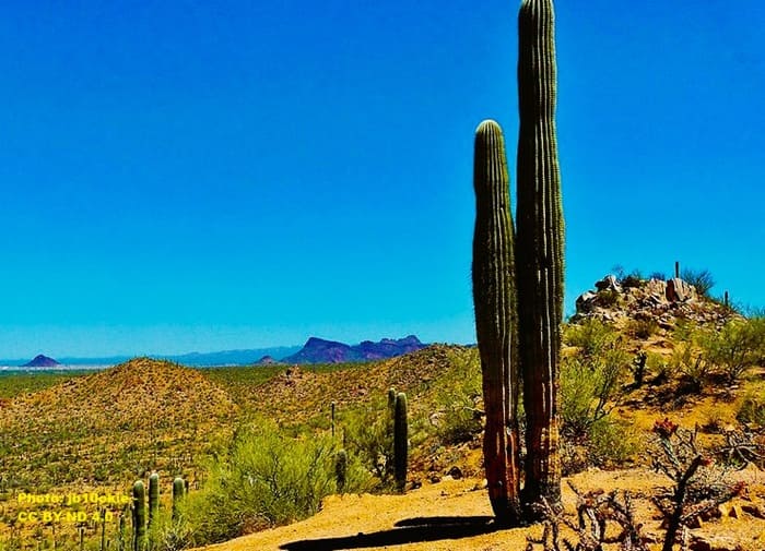 overlook into a Sonoran Desert valley