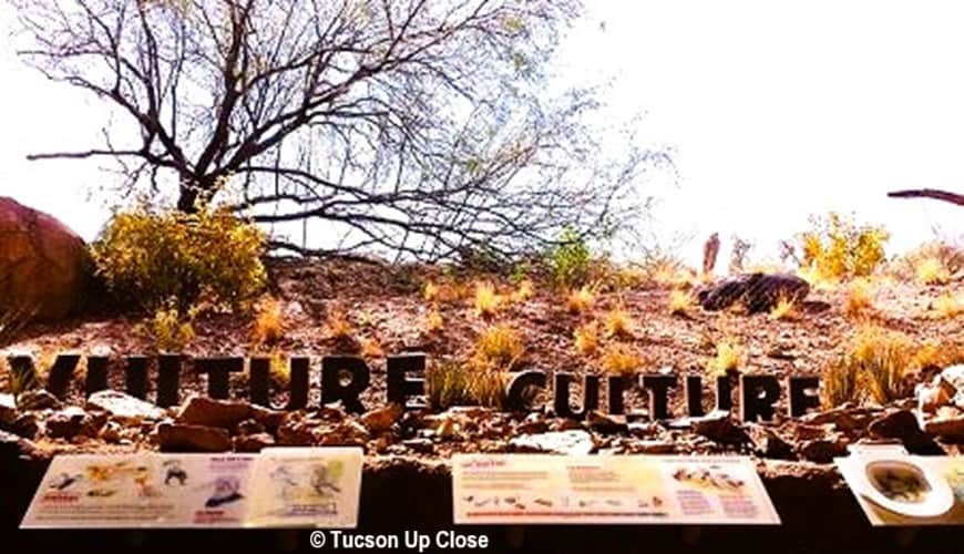 an outdoor museum display about the habits of vultures