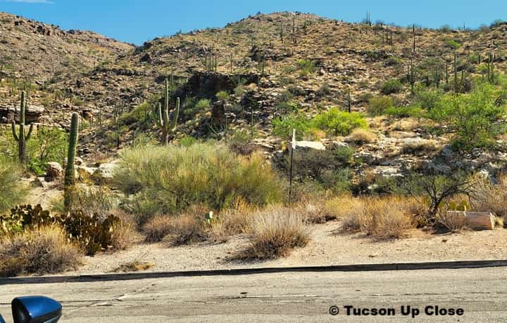 roadway at the lower part of the Santa Catalina Mountains