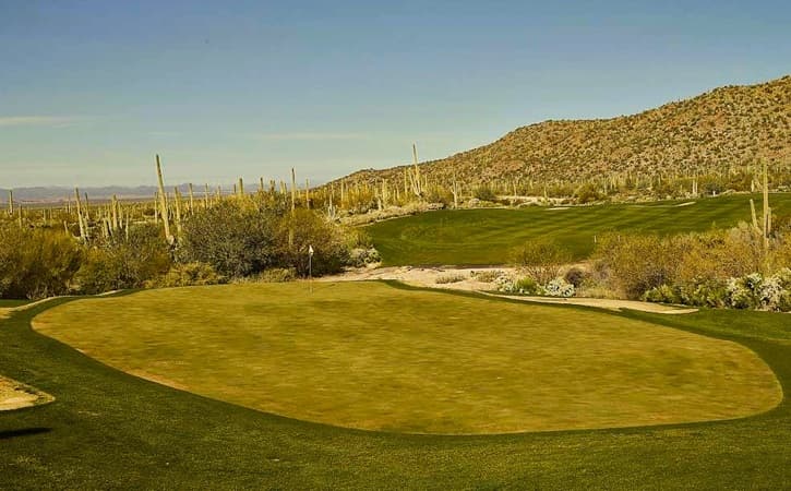 Golf course view at Dove Mountain a Tucson area resort