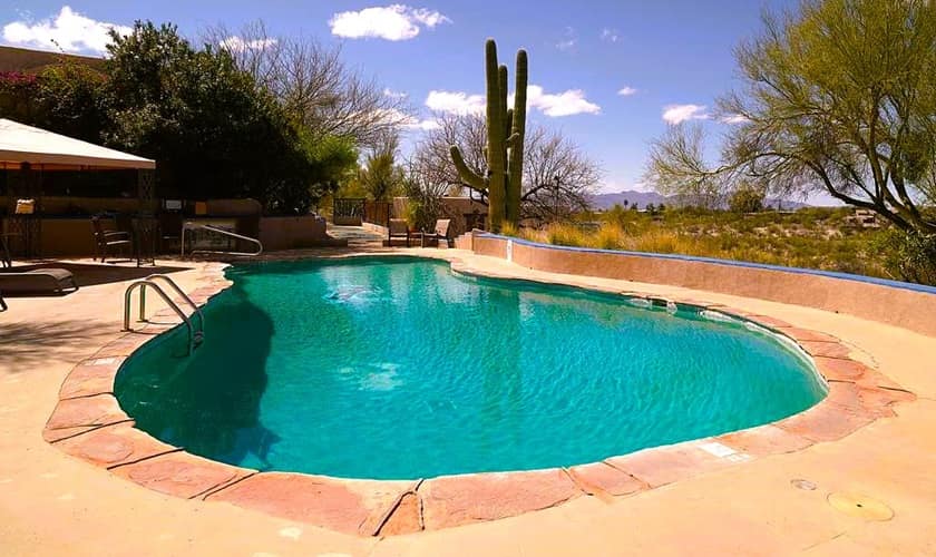 swimming pool with tall cactus growing in nearby garden