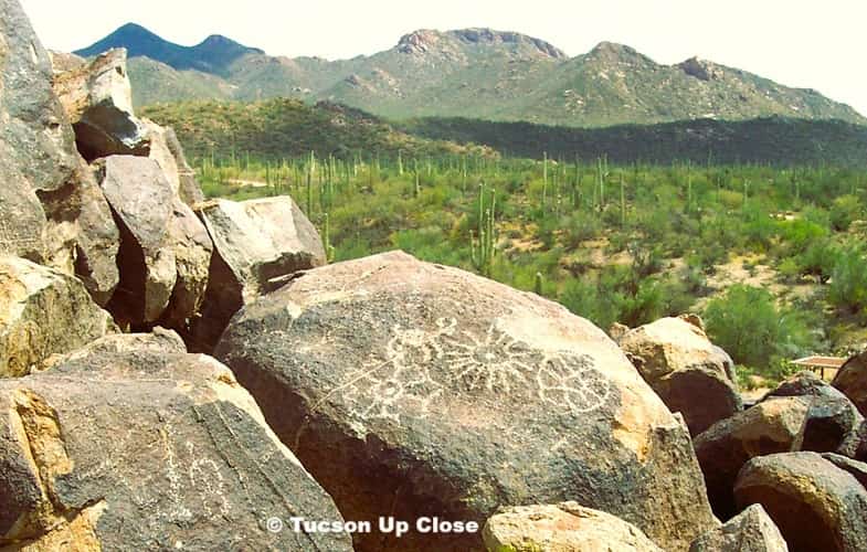 Petroglyphs along a trail in Saguaro National Park West Tucson  Petroglyphs along a trail in Saguaro National Park West Tucson