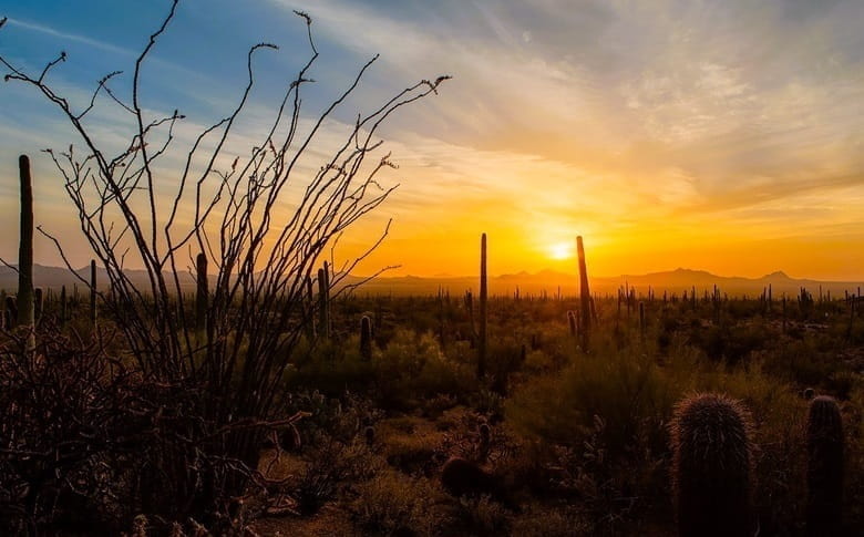 sunset in the desert